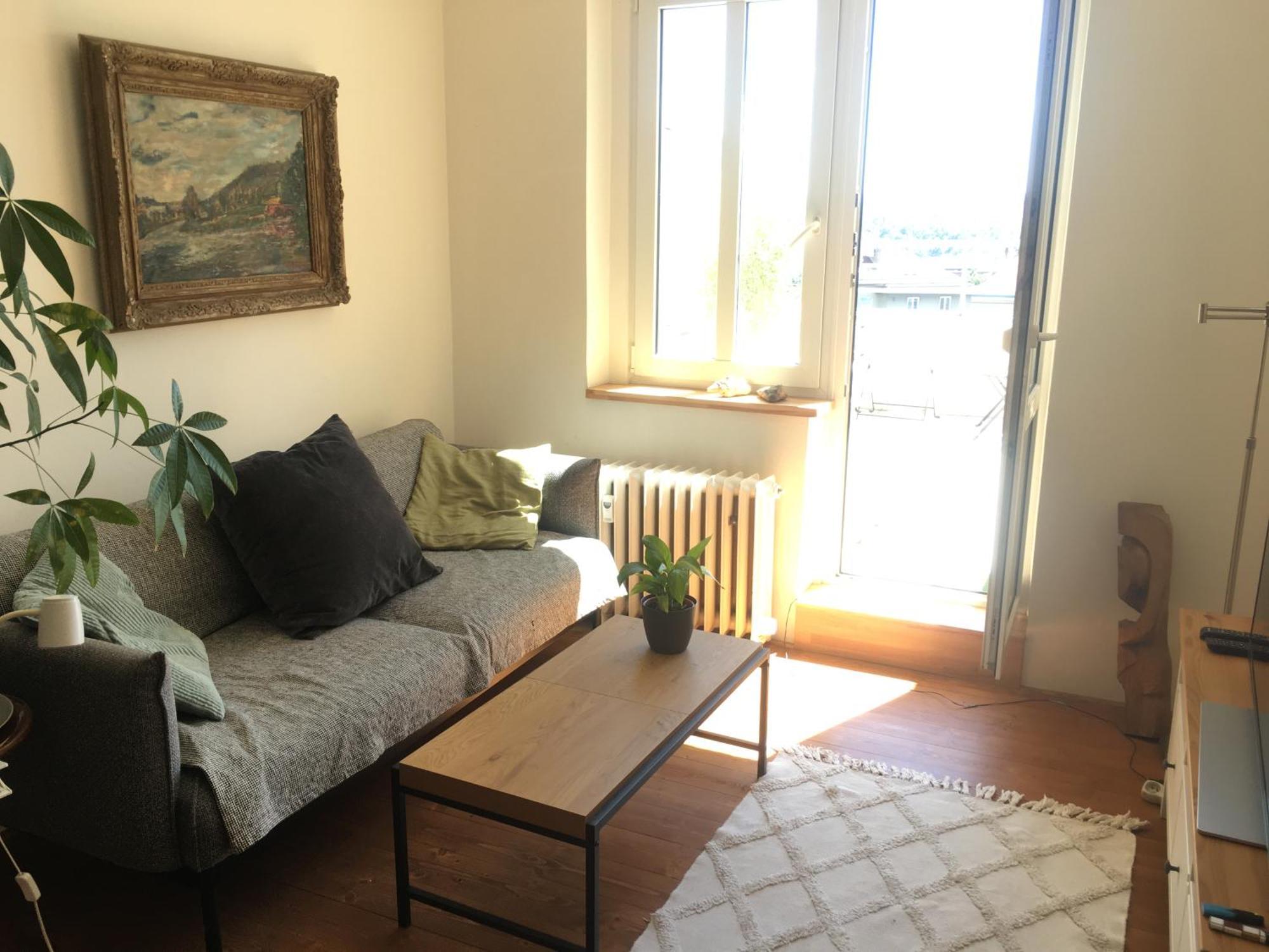 With Large Terrace * Praag